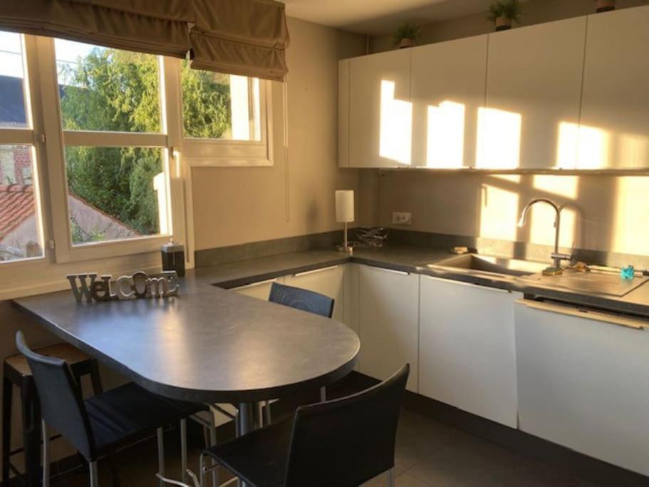 Agreable Et Spacieuse Maison Centre Ville Saint-Omer Exterior foto